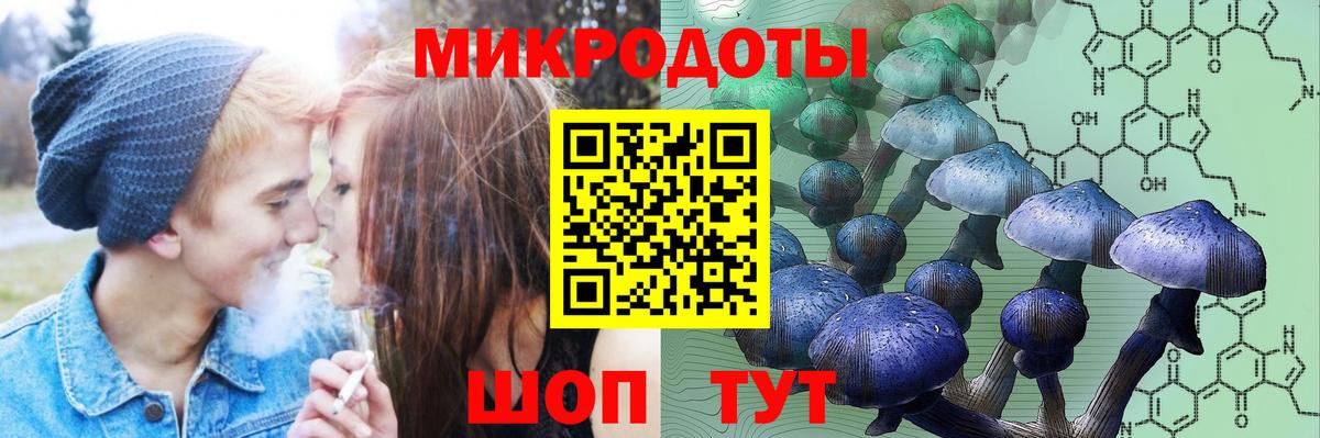 Жуковский  Псилоцибиновые грибы Cubensis  Псилоцибиновые грибы Psilocybine cubensis  Вход с VPN 